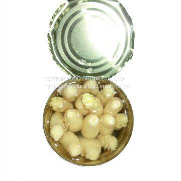 Factory Price Premium Fresh Canned White Asparagus Spear in Brine