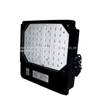 GOKANG LED Plant Growth Lamp and Plant Growth Light photo-2