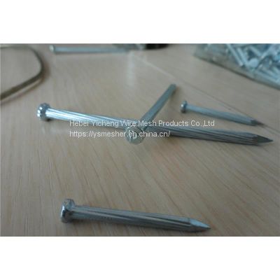 Good Quality Galvanized White Zinc Square Boat Nail Nails China Concrete