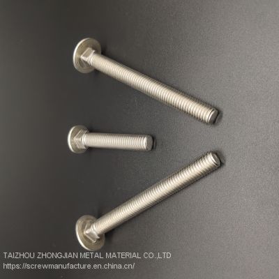 Stainless Steel Carriage Bolt M4*35