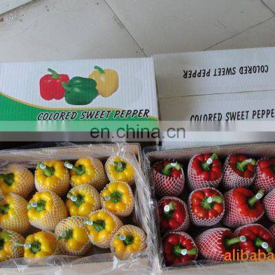 Hot Sale Fresh Sweet Color Pepper Yellow/Red/Green photo-3