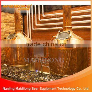 100L-2000L sanitation standard craft beer manufacturing equipment