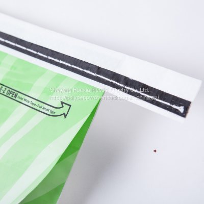 Customized 5kg 10kg 15kg PP Woven Rice Grain Seed Bag With Handle photo-5