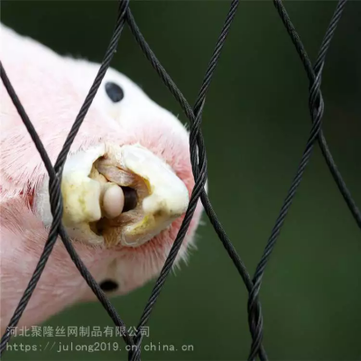 Stainless Steel Wire Rope Mesh Fence for Zoo with Plain Weave Diamond Hole Shape Bending