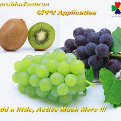 Agrochemical Plant Growth Regulator Forchlorfenuron Cppu Forchlorfenuron 99%TC photo-3