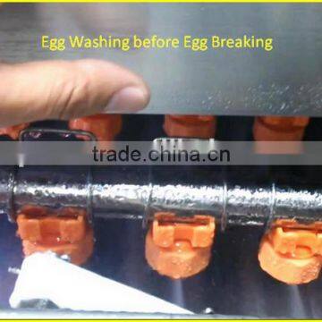 10000pcs/h Egg Brush Washer Egg Processing Machine , Egg Cleaning Candling Machine , photo-6