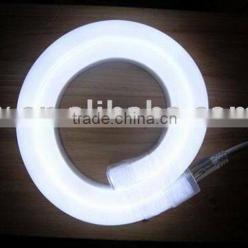 Easy to DIY by yourself ,All color flexible LED Neon Light strip