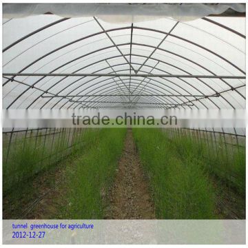 Tunnel Greenhouse for Agriculture