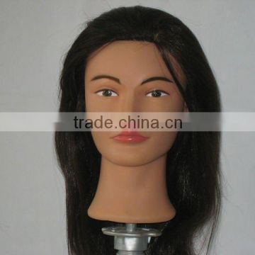 European Face Training Head