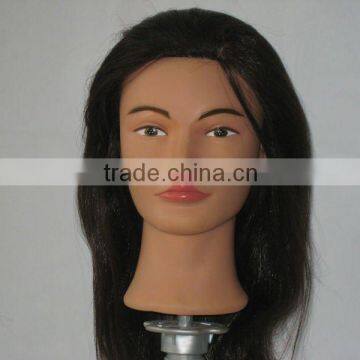 European Face Training Head