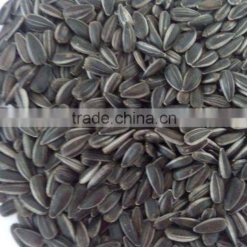 small and black sunflower seeds sunflower seeds for oil