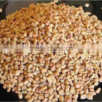 fenugreek seeds