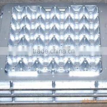 Paper Pulp Automatic Fruit Tray Production Line photo-3