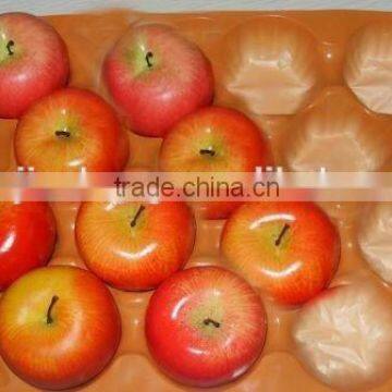PP/PET/PS/PVC Plastic Fruit Tray