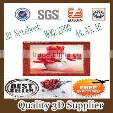 Guangzhou lifeng 2014 new 3d notebook