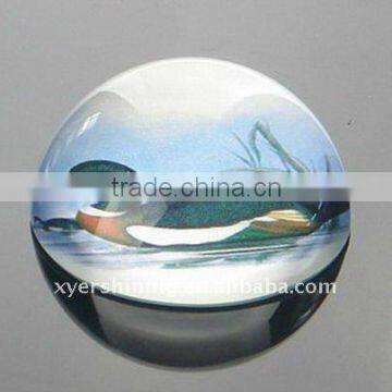 beautiful glass paperweights wholesale