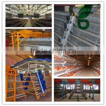 poultry farm automatic broiler feeding machine