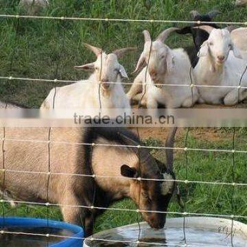 WIRE MESH KNOT ANIMAL FENCE