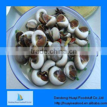 Fresh frozen new moon snail live snails