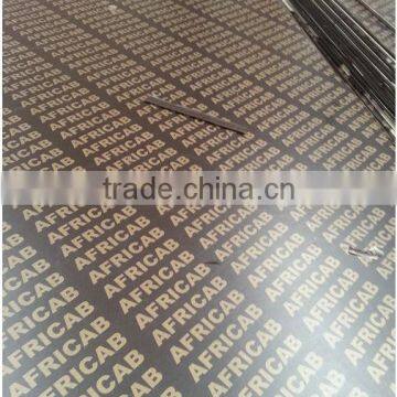 out door formwork plywood from china