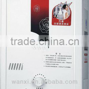 Flue type gas water heater