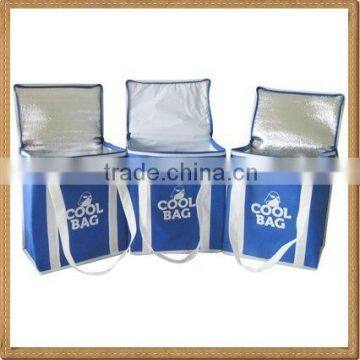 good price polyester cooler bag(2w-1910)