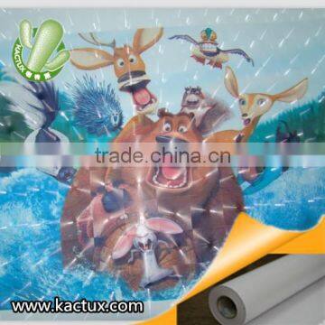 Vivid photo laminating film, Cat eye photo cold lamination film, Photo lamination film