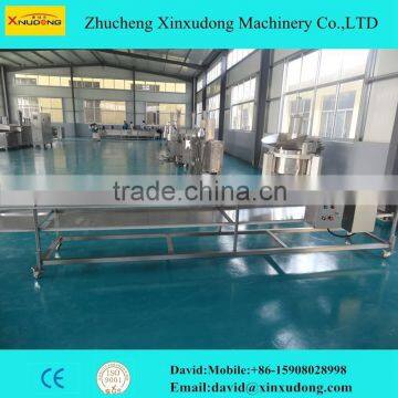 stainless steel wire mesh belt conveyor