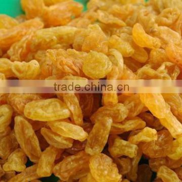 dried golden raisin