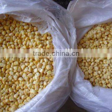 IQF Frozen Sweet Corn Kernels photo-2