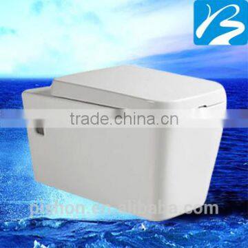 China Export spraying type wall hung toilet bathroom design