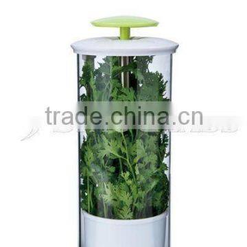 SINOGLASS Breatheable fresh Herb storage Keeper