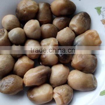 2015 New crop canned whole straw mushroom