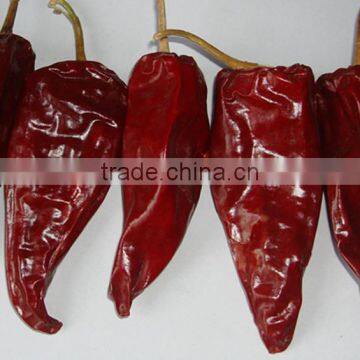 Best selling dried red Yidu chilli