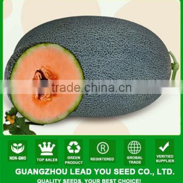 MSM07 Ruiqi Dark green high sugar chinese hybrid hami melon seeds for sale