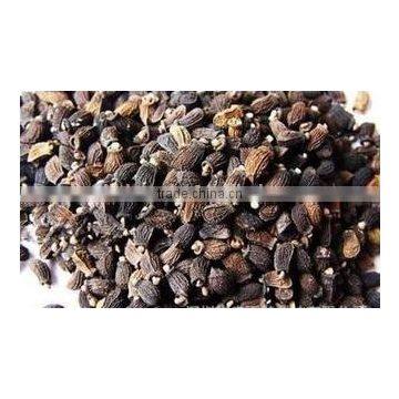 Pharmaceutical Medical Borage Seed Oil Good for Female photo-3