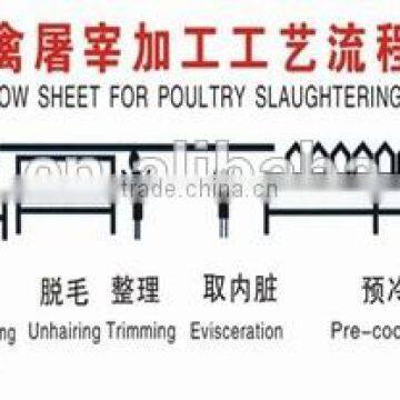 Poultry Slaughter Equipment/chicken Meat Processing Machinery /chicken Meat Cutting Machine photo-6
