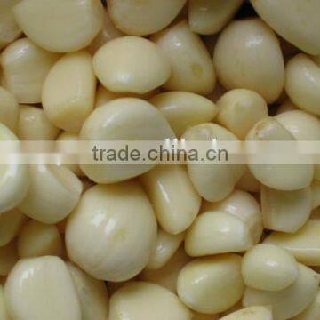Garlic Peeler Machine/stainless Steel Garlic Peeler/garlic Skin Peeler photo-2