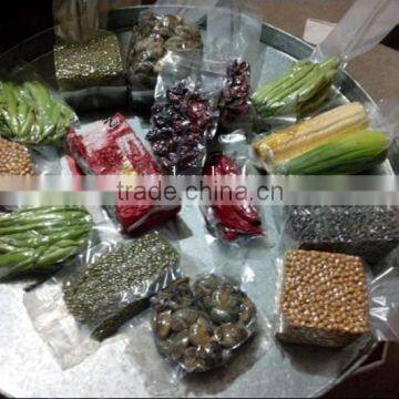 600mm Vacuum Food Coffee Rice Sachet Packaging Machine DZ600 photo-6