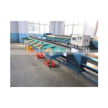 Fruit Vegetbale Apple Orange Grading Machine Sorter Grader Waxing Production Line photo-4