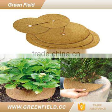 Green Field Coconut Mat Fiber Disc photo-2
