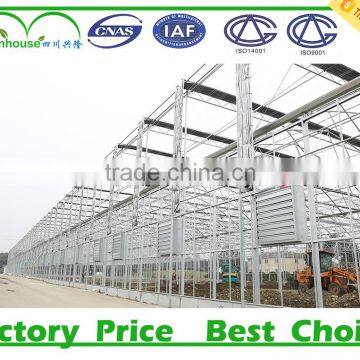 China supplier invernadero agriculture greenhouse