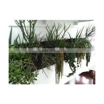 Vertical Wall Hanging Flower Planter Bag,Hanging Flower Grow Bag,Flower Growing Bags/waterproof Wall Hanging Bag photo-2