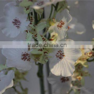 Brand Name Decorative Artificial Flowers Fabric Butterfly Orchid photo-2
