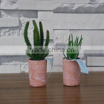 plastic mini succulent plants arrangement in pot