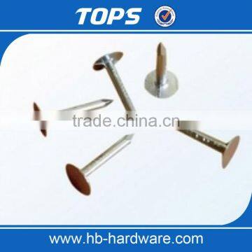 coil roofing nail