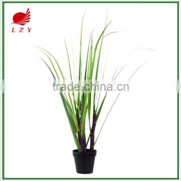 Factory Direct Sale Large Garden Decoration Onion Grass