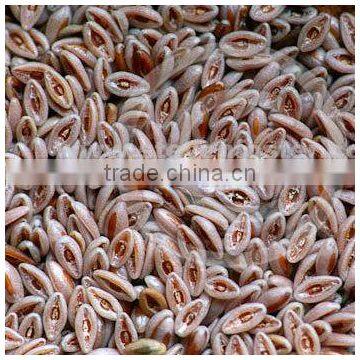 Psyllium Seeds photo-3