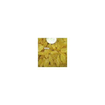 Golden Raisin