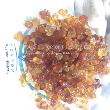 Factory Price Premium Natural Pure Yellow Peach Gum /Peach Resin (Taojiao)